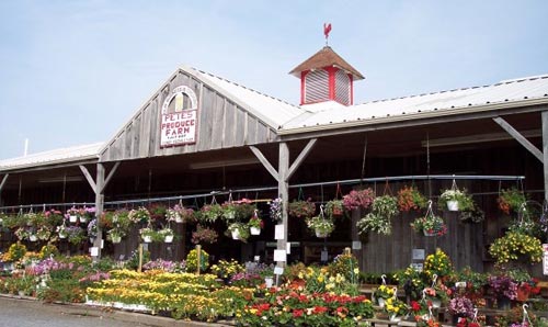 petes-produce-farm petes-produce-farm