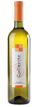 collevite-falerio-2012