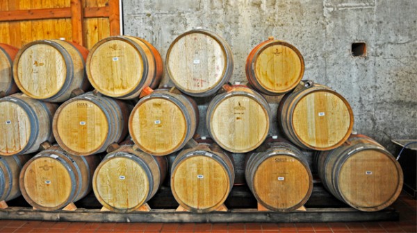 raphael-winery