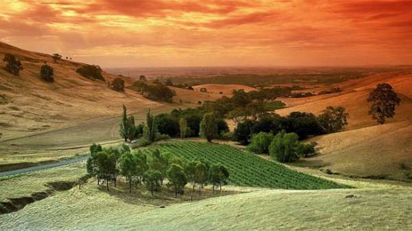Barossa Valley